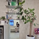 홀드의원 이미지