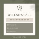 웰니스케어 이미지