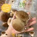 달자농장 | [후기/ 굼뜬농부 표고버섯] 지금부터 우리애기가 자랑할 게 있다고 하거든? 다들 댓글 이쁘게 달자?