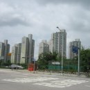 911공인중개사사무소 이미지