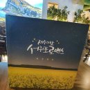 서귀포로맨스 - 북구 | 서귀포로맨스