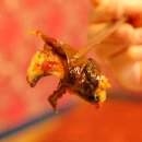 고창풍천장어 이미지