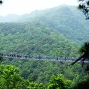 출렁다리 이미지