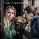 김연수농장 뉴스1