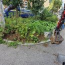 관악-현장-관악-017 이미지