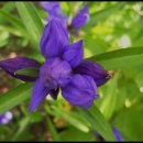 용담농장 이미지