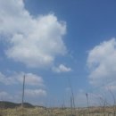 일철농장 이미지