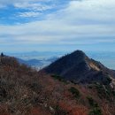 동막 이미지