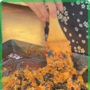 바다 칼국수 이미지