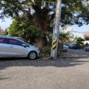 중문세탁소 이미지