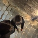 메르뷰 | [강릉] 강릉 오션뷰 숙소 메르뷰펜션 후기