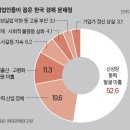 [10대 그룹의 고민과 과제] 잘 나가든 못 나가든 리더십·지배구조·성장동력 걱정 이미지