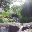 천등산농원 이미지