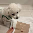 괴산미향 이미지