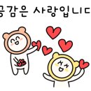 모모네김밥 이미지