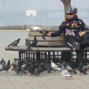 비둘기공원 화장실 이미지