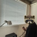 방이지구대 | [제천카페] 옛 지구대를 이용해 힙한 느낌의 제천 지구대 카페 후기 ฅ🐾