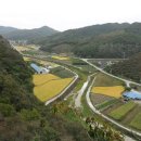 신덕개발 이미지