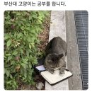 경원치킨 이미지