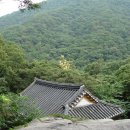 순천-25호 이미지