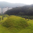 견성군 이돈묘역 Daum카페