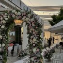 강석로 | 일산 웨딩홀 투어 웨스턴빌리프, 천년컨벤션, 더테라스 비교 및 계약 후기