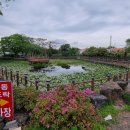 명동식도락 - 중구 | 명동식도락