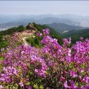 우천농협하나로마트 앞 이미지