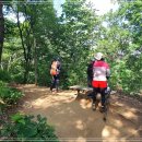 내곡동486 이미지