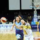 챔프 체육관 이미지