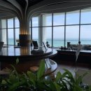 맹그로브 제주시티 이미지