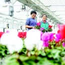 수란농장 이미지