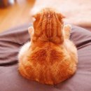 온:식빵 이미지