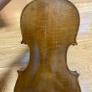 바이올린(중급) 이미지