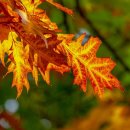 (주)제이엠텍 이미지