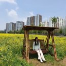 유채공방 이미지