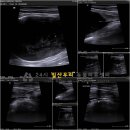 시온동물병원 이미지