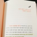 일그램 이미지