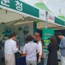 대구데이 페스티벌 이미지