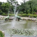 덕평공룡수목원 Daum카페