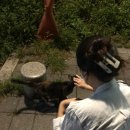 냥냥이 캔따개 이미지