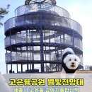 세종시청후문 잔디광장 | 세종 고은뜰공원 강아지산책하기 좋은 장소 별빛전망대 가볼만한곳