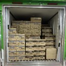 평산메디 이미지