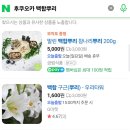 터미널대중탕 | 일본 구로카와 온센 오야도 노시유 온천 후기
