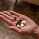 새롬의원 이미지