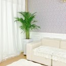 다정다감펜션 이미지