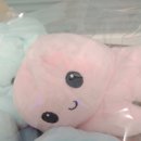 남양주탑실내바다낚시터 이미지