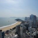 아미티스 이미지