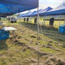 한국천막공사 이미지