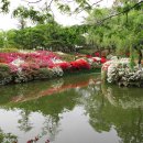 한국표준과학연구원 - 8588 | 한국표준과학연구원